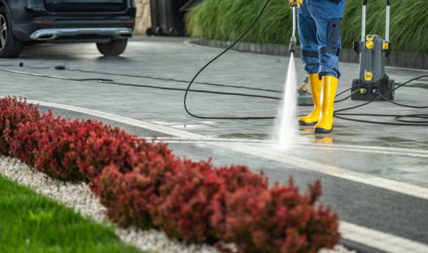 Best Affordable Pressure Washing  in Woodmoor, CO