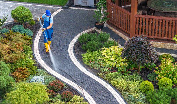 Best Affordable Pressure Washing  in Woodmoor, CO